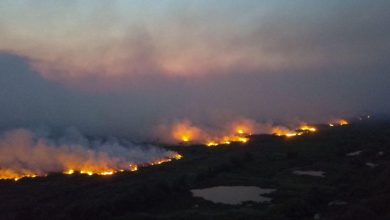 Foto de Liderado pela Venezuela ranking de queimas acende alerta para o Centro Oeste brasileiro com aumento de focos de incêndios