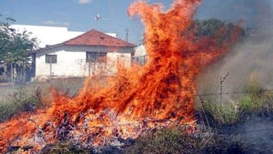 Foto de Quem for flagrado ateando fogo em lixo pode pagar multa de R$510 em Três Lagoas