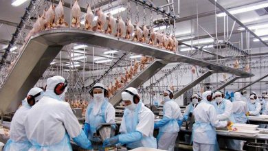 Foto de Indústria de Mato Grosso do Sul já gerou quase 12 mil vagas de trabalho entre janeiro e outubro de 2022