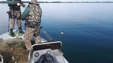 Foto de PMA de Três Lagoas fiscaliza 15 embarcações, autua três paulistas em R$ 1,5 mil por pesca ilegal no rio Paraná e apreende 600 metros de redes de pesca
