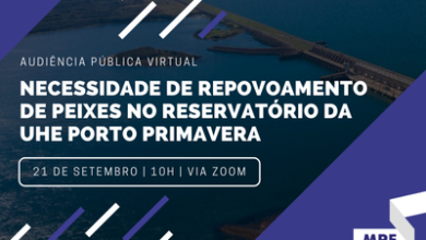 Foto de Audiência pública para apurar a necessidade de repovoamento de peixes no rio Paraná será no dia 21