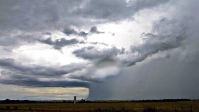 Foto de Previsão alerta para chuvas acima da média histórica em Mato Grosso do Sul