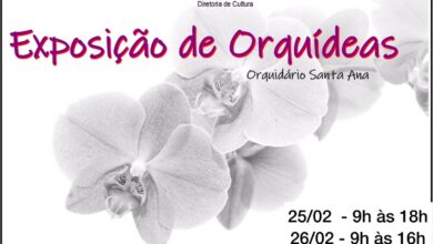 Foto de Diretoria de Cultura promove nesta sexta-feira e sábado (25 e 26) Exposição de Orquídeas na Casa do Artesão