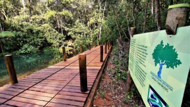 Foto de Parques e unidades de conservação voltam aos roteiros do Ecoturismo em Mato Grosso do Sul
