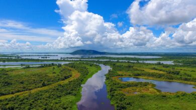 Foto de Com o Pantanal em evidência, FundturMS capacita agentes de turismo na Convenção da Operadora Schultz