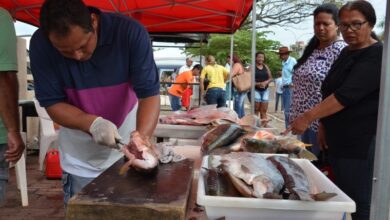 Foto de 7ª Edição da Feira do Peixe acontece nesta quinta-feira (14), a expectativa é comercializar 15 toneladas de pescados