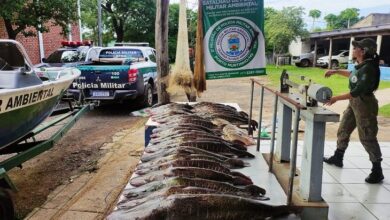 Foto de PMA autua 30 pessoas, apreende 210 kg de pescado e aplica R$ 77 mil em multas