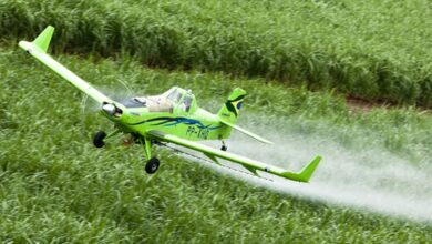 Foto de Aviões agrícolas passam a combater incêndios florestais