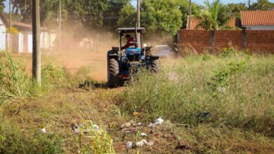 Foto de Prefeitura inicia limpeza de terrenos sujos em Três Lagoas