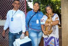 Foto de Devido aos casos positivos de leishmaniose, Zoonoses realiza ação contra a doença em bairros de Três Lagoas