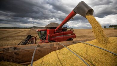 Foto de Safra de soja atinge 15 milhões de toneladas em Mato Grosso do Sul