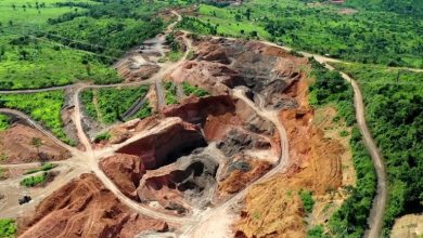 Foto de Amazônia: Desmatamento bate recorde em fevereiro, diz Inpe