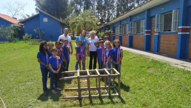 Foto de Com fase experimental concluída, SEMEA lança e amplia projeto “Escola Mais Verde”