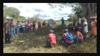 Foto de Sem trégua, MST invade mais uma fazenda na Bahia