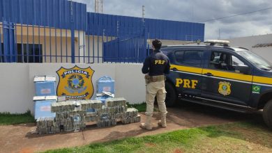 Foto de 484 Kg de cocaína é encontrada em carga de carnes na BR-158 em Paranaíba