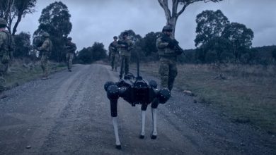 Foto de Cão-robô controlado pela mente assusta, “para onde a maquina de guerra vai nos levar?”