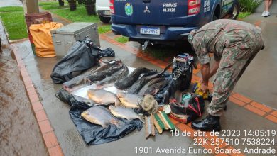 Foto de PMA de Bataguassu prende e autua em R$ 10 mil quatro paulistas por pesca e transporte de pescado ilegalmente e apreende veículo, barco, motor de popa e 80 kg de pescado