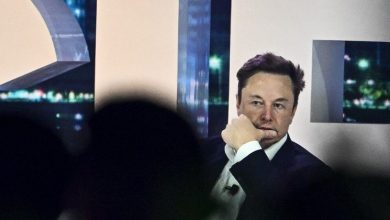 Foto de ‘Se alguém soubesse sobre alienígenas, provavelmente seria eu’ afirma Elon Musk em entrevista