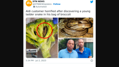 Foto de Homem fica horrorizado ao encontrar uma cobra dentro de um saco de brócolis que comprou