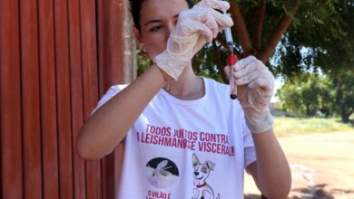 Foto de Saúde promove ação de prevenção e combate à leishmaniose visceral na Chácara Eldorado