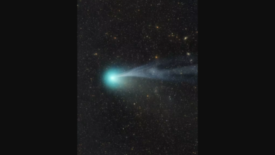 Foto de ‘Cometa do Diabo’ poderá ser visto hoje em todo MS