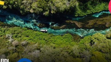 Foto de Com alta de 11,7%, turismo cresce em Mato Grosso do Sul e impulsiona a economia regional