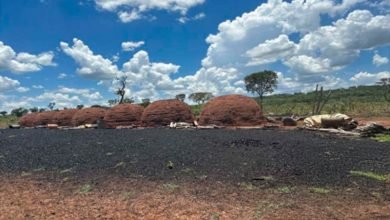 Foto de Após denúncias e autuações, MPMS abre inquérito para apurar dano ambiental em Inocência