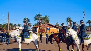 Foto de Cavalaria da Polícia Militar participará do Desfile dos 110 Anos de Três Lagoas