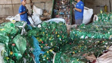 Foto de MS lidera ranking nacional de Logística Reversa de Embalagens com maior índice de reciclagem por habitante