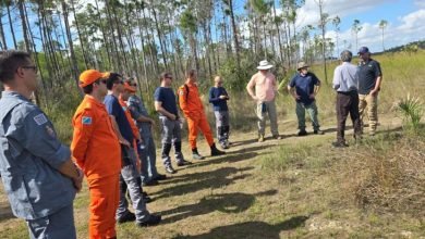 Foto de Estratégias norte-americanas de prevenção a incêndios florestais poderão ser implementadas em MS